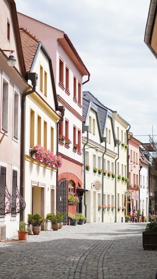 a cobblestone street lined with buildings and potted plants